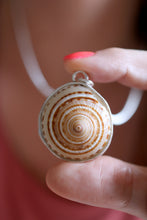 Penjoll de plata amb Cargola de Mar.