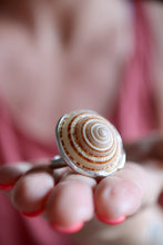 Anell de plata amb Cargola de mar.