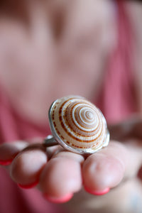 Anell de plata amb Cargola de mar.