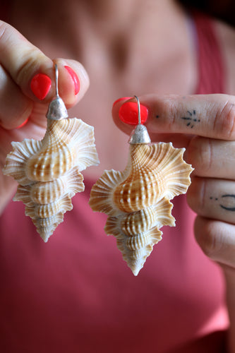 Arracades de plata amb cargoles naturals.
