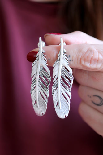 Arracades mitjanes de plomes de plata.