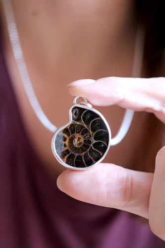 Penjoll de plata amb Ammonit.