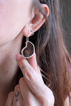 Arracades de plata amb Ammonit.