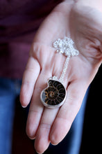 Penjoll de plata amb Ammonit.