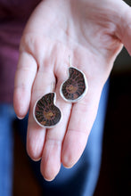 Arracades de plata amb Ammonit.