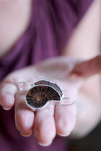 Arracades de plata amb Ammonit.