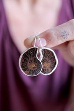 Arracades de plata amb Ammonit.