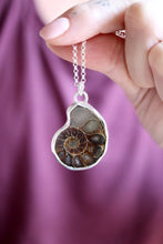 Penjoll de plata amb Ammonit.