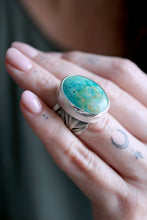 Anell de ploma de plata amb Turquesa natural.