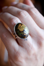 Anell de plata amb Turquesa natural.