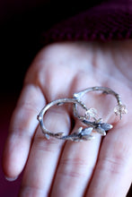 Criolles de branques de plata.
