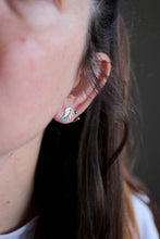 Arracades fulles de plata.